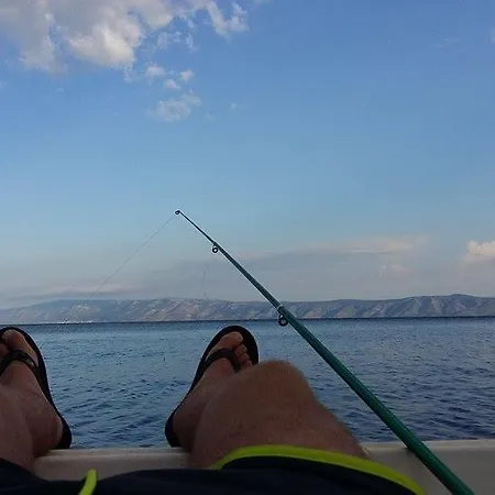 Palma Jelsa (Hvar)