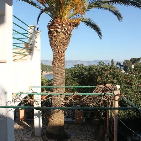 Palma *
